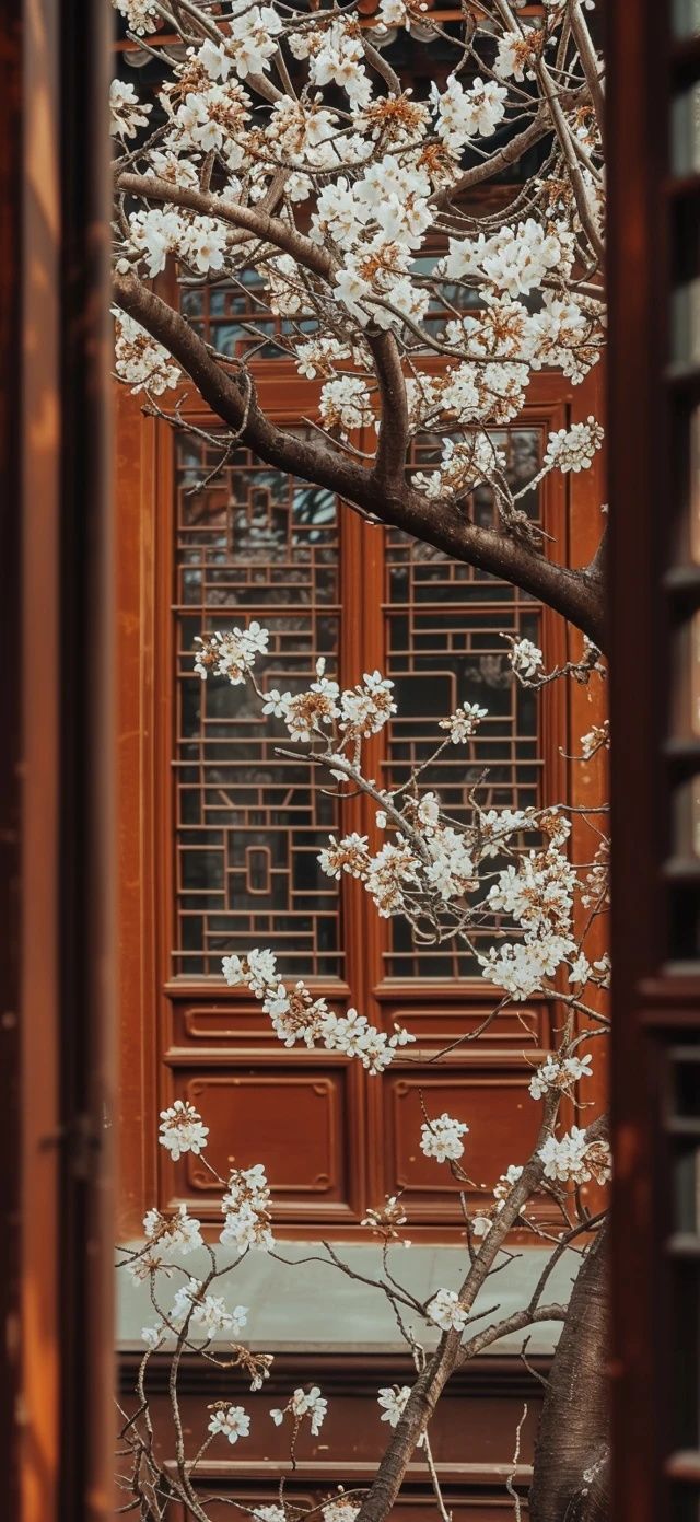 無錫一日游！這是一個把甜度拉滿的旅程！誰說不是櫻花的季節，就不能去無錫了？從常州