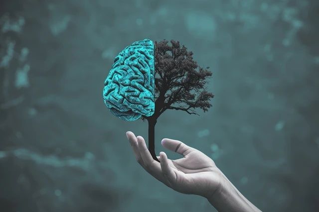 知識與認知:解析二者的差異與聯系,認知與常識的探討