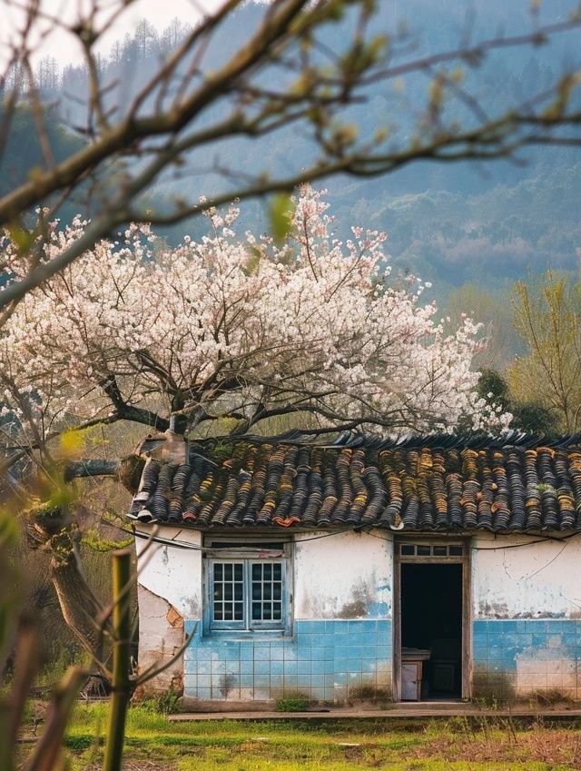 寧波最in鄉村旅游打卡點出爐