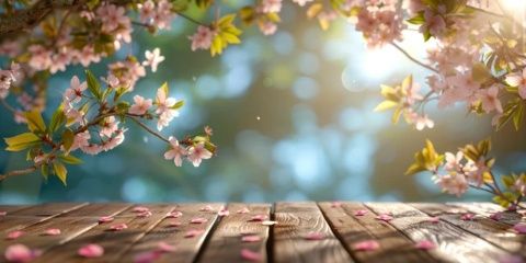 六篇以春日生活為主題的散文