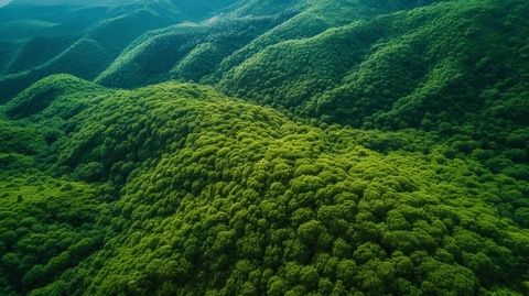 探索長(zhǎng)春生態(tài)之美——凈月潭、北湖濕地與這有山文化之旅