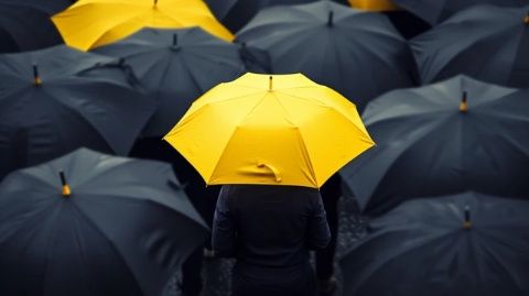 揭秘保險:必知的基礎知識與實用技巧