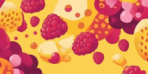 法國插畫家的美食日志：水彩畫筆下的誘人果醬與精致菜譜