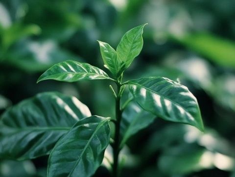 生活中的實用小貼士：培養受益終生的習慣第一課