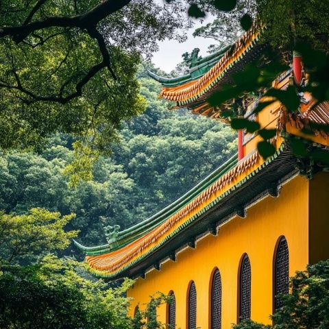 最新最全的普陀山旅游實用攻略來啦！
