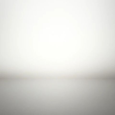 揭秘泰迪美食秘籍：挑食狗狗的健康飲食指南