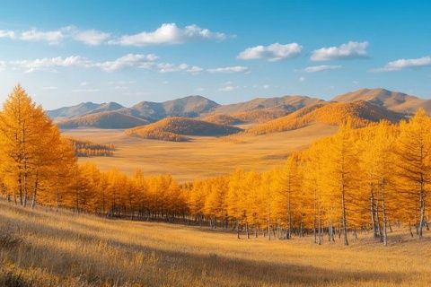 2025年親子探秘之旅：南疆風光與文化傳承，讓孩子在大美自然中成長！