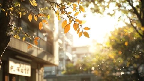 白日如夏晚來秋，炎熱與涼爽共存