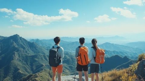悠閑漫步：樹懶的緩慢世界之旅