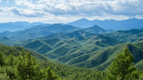 吉林白山：探尋春日山野珍饈，體驗大自然的獨特風味