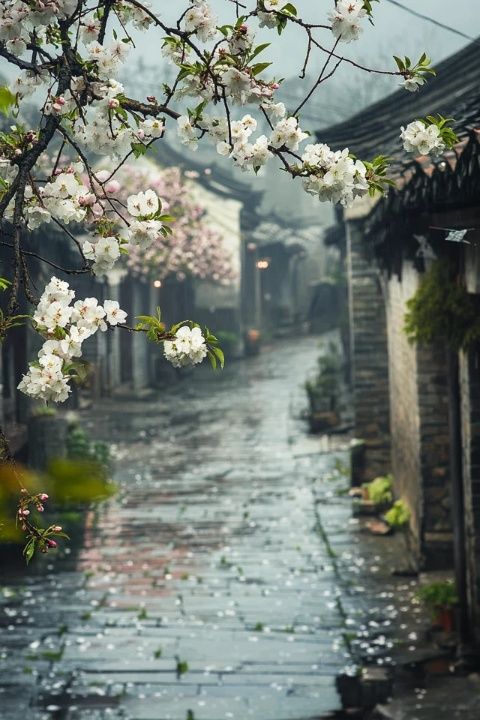 探索南靖云水謠古鎮(zhèn)的詩(shī)意之旅