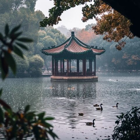 昆明翠湖公園美食探秘:海鷗之美與地道的云南味蕾之旅