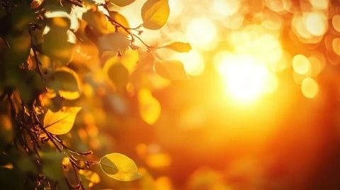 春季養(yǎng)生口訣，記住五個少！