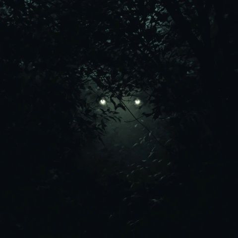 燈火闌珊處，夜色正濃時