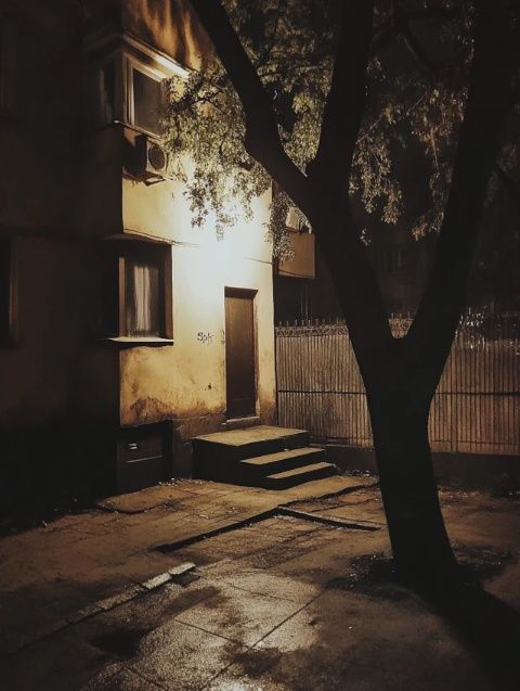 燈火闌珊處，夜色正濃時