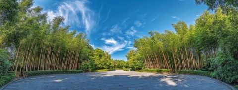 廣東周邊游|避暑必去的古兜溫泉小鎮(zhèn)！