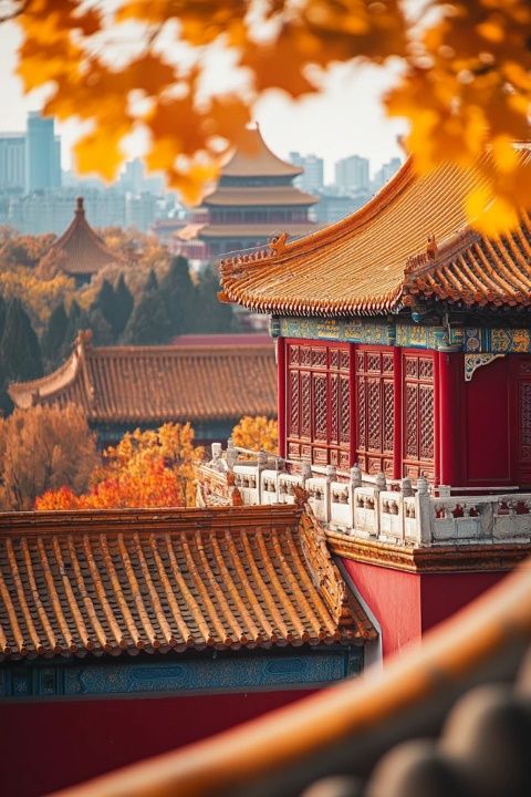 北京·雅寶路首家林家一臺州菜店開業了！
