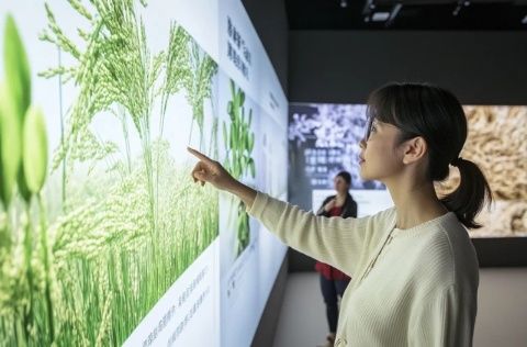體驗民俗學端午知識,南寧博物館活動點睛