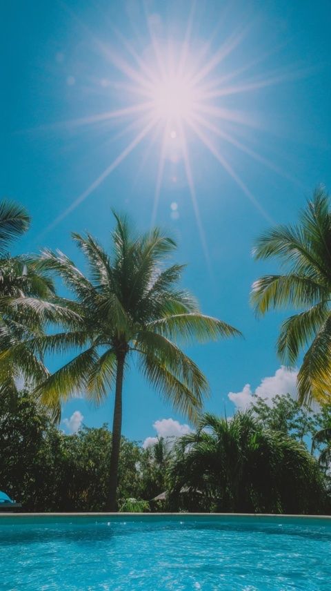 夏日防雷防暑寶典