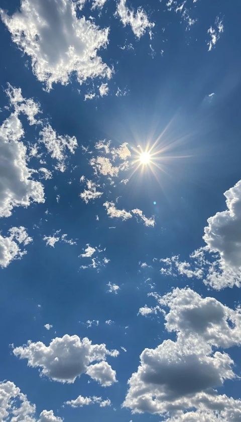 夏日防雷防暑寶典