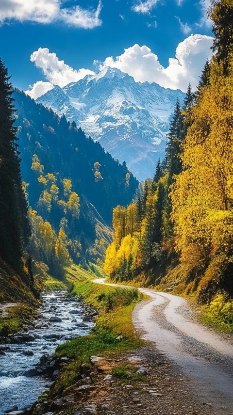 走在同一條路上久了，不妨試試岔路，欣賞不同的風景