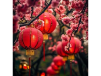 今天出去轉(zhuǎn)了一圈，發(fā)現(xiàn)佛山的過(guò)年氣氛搞起來(lái)了，花市開(kāi)了，美食節(jié)同行