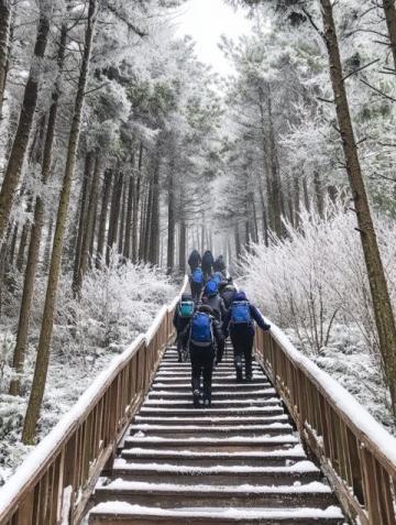 冬日川南探索之旅:樂(lè)山大佛、峨眉山與螺髻山溫泉體驗(yàn)