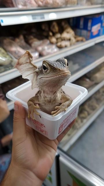 帶你走遍全世界：外伶仃島海鮮美食之旅