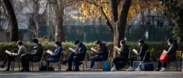周末上午的的銀川中山公園，晨練的人們默契地占據著自己常去的地界