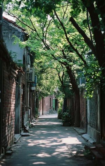 蘇州必游經典路線：拙政園、博物館到周莊古鎮一日游攻略