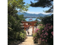小眾拍照打卡地：拍出日雜風美照刷屏朋友圈