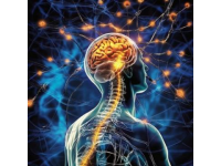關于癲癇的這些常識你知道多少？（腦電圖、癲癇發作等詳解）