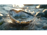廈門(mén)海蠣煎必剪美食制作過(guò)程