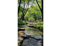 天臺(tái)山避暑季必去景區(qū)，玩水、燒烤、吃喝盡興