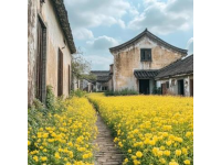 潮州之旅必備指南:從古城到海濱景點,一站式游記指南