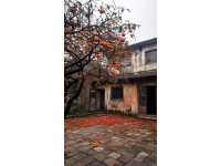 潼南桃樹下的網紅涼粉攤：藏在鄉下，游客到此必打卡