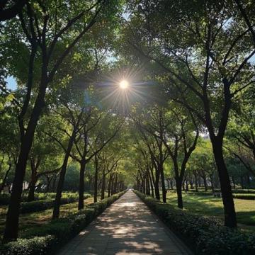 回憶家鄉(xiāng)的風(fēng)光：廣州天河公園