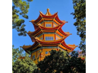 深圳爸媽退休生活：每月13500元養(yǎng)老金，暢游美食天堂車公廟