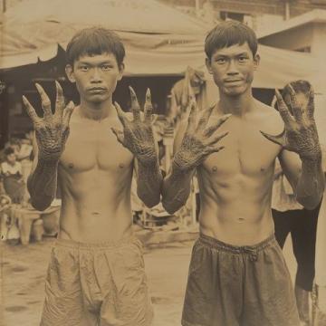 1950年前后，印尼當時發生了嚴重的排華事件，許多華僑回到祖國