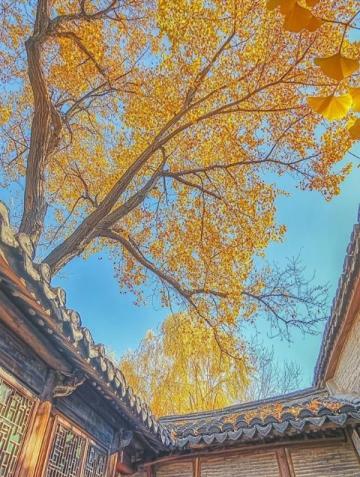 徐州祥海砂鍋居：三十年老字號，非遺傳承的美味探索