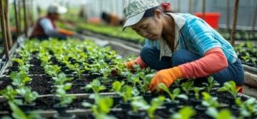 護苗知識科普游山西村解鎖知識密碼，助力青春成長