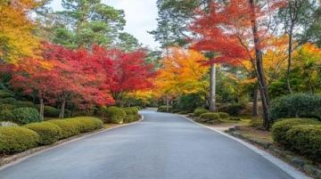 秋日漫步:美食相伴的公園游記,美景定格在鏡頭中