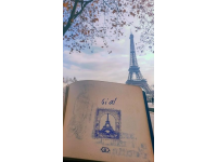 我的旅行日記：一場(chǎng)轟動(dòng)性的冒險(xiǎn)之旅!