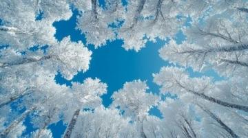 在白雪皚皚的世界中，感受唯一的絢麗美景