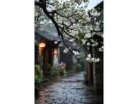 南潯古鎮(zhèn)攻略：探尋江南水鄉(xiāng)的詩畫桃源