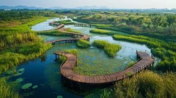 清遠(yuǎn)飛來湖濕地公園免費開放，特惠活動及交通、住宿指南