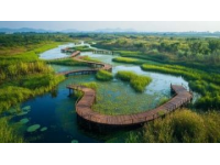 清遠(yuǎn)飛來(lái)湖濕地公園免費(fèi)開(kāi)放，特惠活動(dòng)及交通、住宿指南