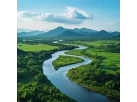 探索西雙版納：熱帶雨林、民族風情與佛教文化之旅