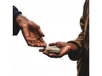 攜手傳遞溫暖：扶危濟困的感人故事層出不群