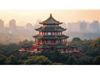 千年美食秘笈：舌尖上的中國之旅